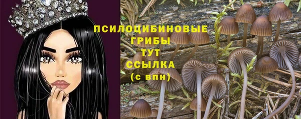 мдпв Балабаново