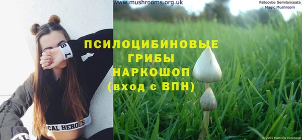 мдпв Балабаново