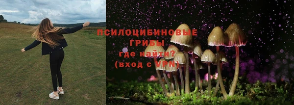 мдпв Балабаново