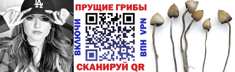 как найти   omg сайт  Галлюциногенные грибы MAGIC MUSHROOMS  Белоярский 